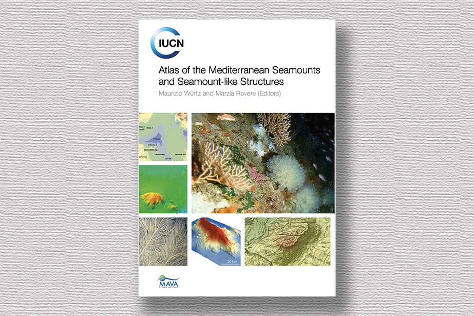 Atlas of the Mediterranean Seamonts and Seamount-like Structure di Maurizio Wurtz
