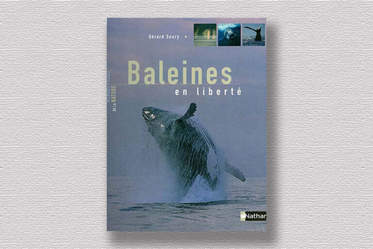 Baleines en liberté con illustrazioni di Maurizio Wurtz