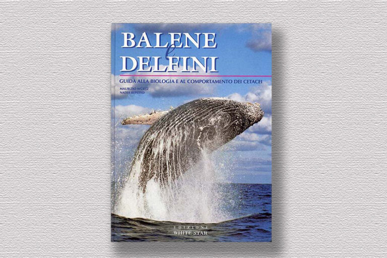 Balene e Delfini di Nadia Repetto e Maurizio Wurtz