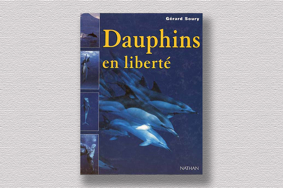 Dauphins en liberté con illustrazioni di Maurizio Wurtz