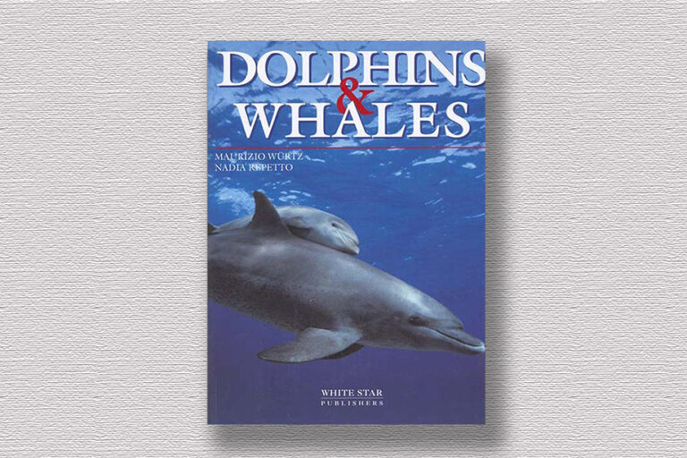 Dolphins & Whales di Nadia Repetto e Maurizio Wurtz