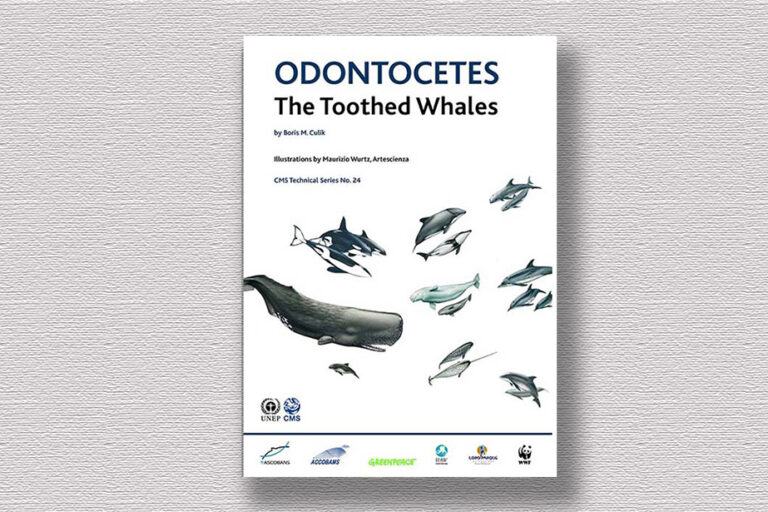 Odontocetes – the Toothed Whales di Nadia Repetto