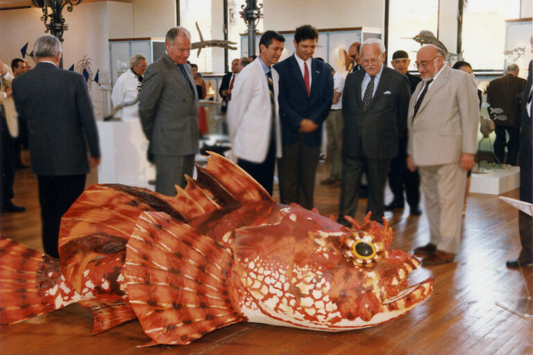 Scorpaena scrofa (Scorpena) – Museo Oceanografico di Monaco